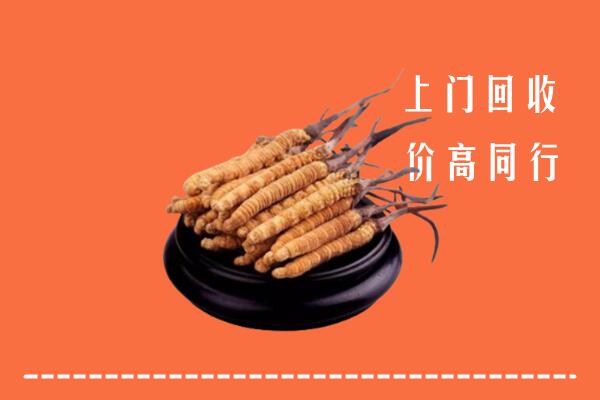 高价求购：北京朝阳回收散虫草