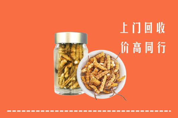 北京朝阳回收冬虫夏草